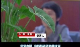 王庄爆料二虎事件始末视频,二虎事件始末揭秘